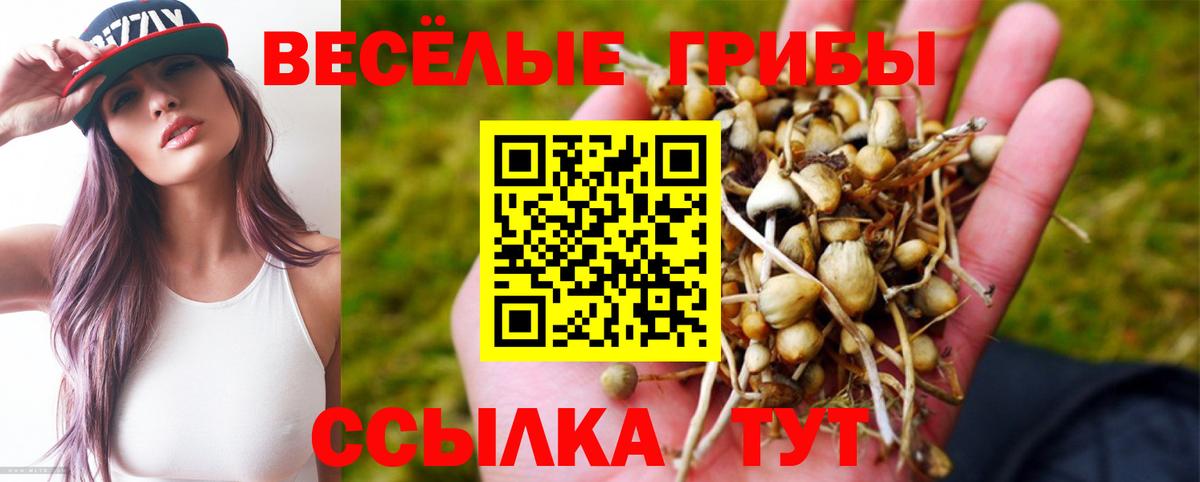 Галлюциногенные грибы Cubensis  Галлюциногенные грибы GOLDEN TEACHER  Мирный  Вход с VPN 